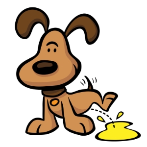 dog-pee-urine-sample.jpg?t=1446012553019