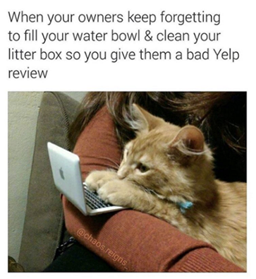 13770269_1099525306789631_4488010447762404813_n.png