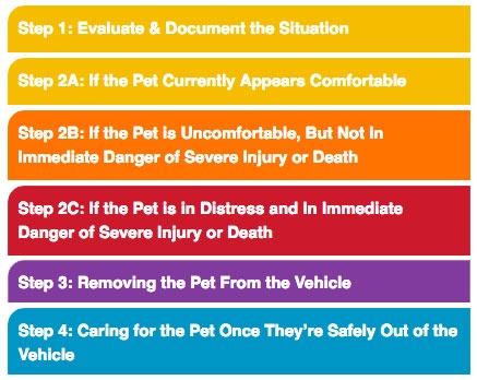 Heat-Stroke-Check-List-Abbreviated.jpg Heat-Stroke-Check-List-Abbreviated.jpg