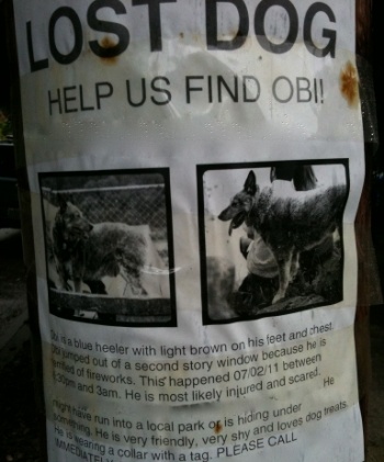 Lost-dog-poster Lost-dog-poster