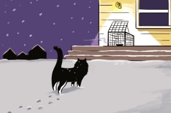 Lost-cat-true-story Lost-cat-true-story
