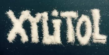 xylitol-toxicity-in-dogs xylitol-toxicity-in-dogs