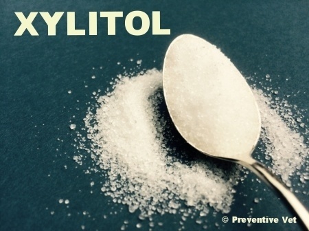 xylitol sugar free sweetener