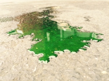 antifreeze poisoning dogs antifreeze poisoning in cats dogs now even scarier antifreeze poisoning dogs antifreeze poisoning in cats dogs now even scarier