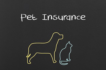 Pet insurance