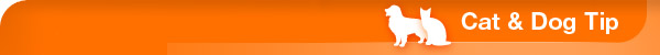 weekly-cat-dog-tips-header.jpg
