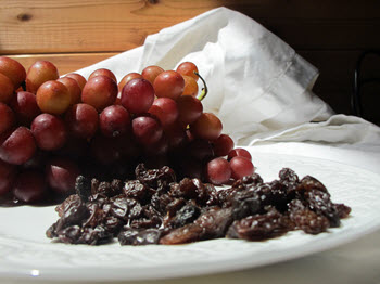 grapes and raisins are toxic to cats