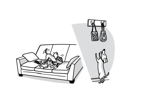 hang guest purses away from where pets can reach
