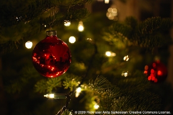 The-12-Pet-Hazards-of-Christmas-Day-6-Ornaments The-12-Pet-Hazards-of-Christmas-Day-6-Ornaments