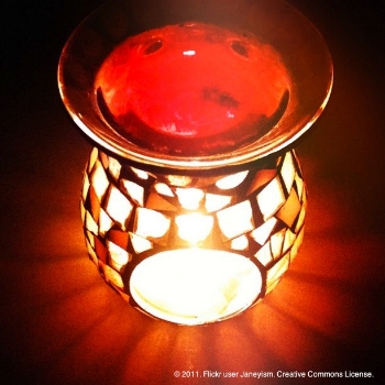 The-12-Pet-Hazards-of-Christmas-Day-10-Liquid-Potpourri The-12-Pet-Hazards-of-Christmas-Day-10-Liquid-Potpourri