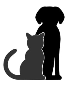 Cat and dog illustration