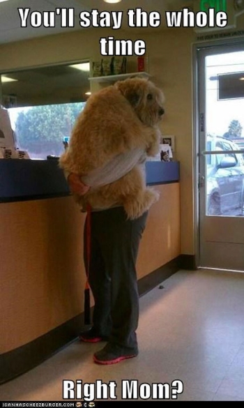 vet-visit-stay-mom vet-visit-stay-mom