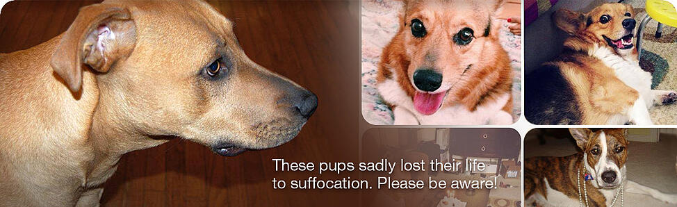 Pet suffocation awareness