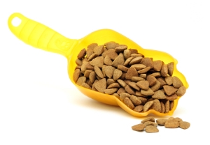 Pet-food-scoop