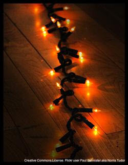 The-12-Pet-Hazards-of-Christmas-Day-7-Light-Strands-and-Electrical-Cords The-12-Pet-Hazards-of-Christmas-Day-7-Light-Strands-and-Electrical-Cords