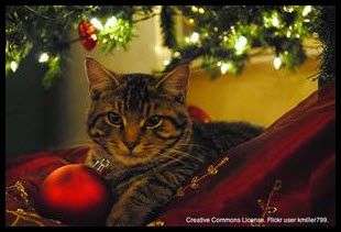 Deck_The_Halls_The_12_Pet_Hazards_of_Christmas_(Day_6_-_Ornaments_and_Other_Tree_Decorations)-image-2