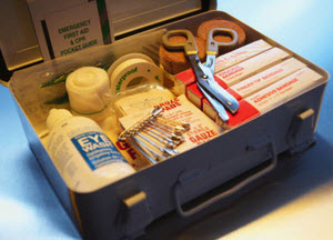 pet first aid kit