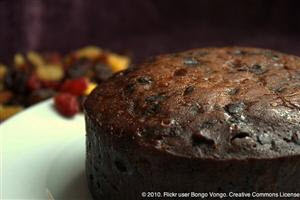 Deck_The_Halls_The_12_Pet_Hazards_of_Christmas_Series_(Day_2_-_Fruitcake)-Image-1