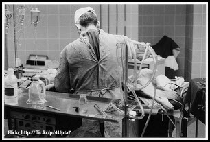 Help! What Should I Do if My Dog Bloats? Treatment for ...