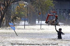 Make_a_Plan_to_Protect_your_Pets_During_Natural_Disasters_Emergency_Preparedness_for_Cats_and_Dogs-Image-3