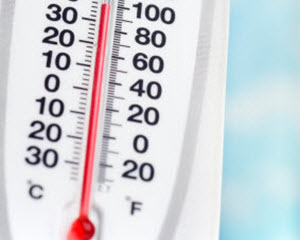 heat-stroke-in-dogs heat-stroke-in-dogs