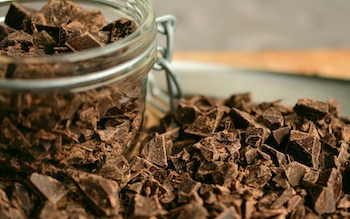 chocolate is toxic to cats