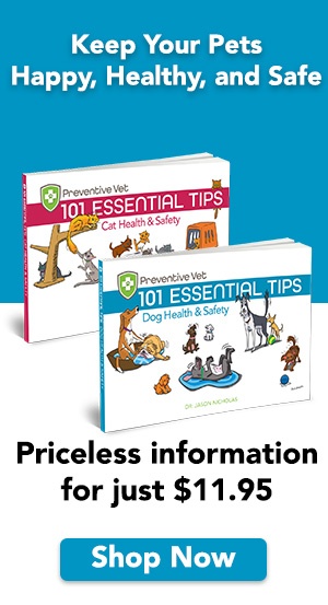 24petwatch microchip number lookup