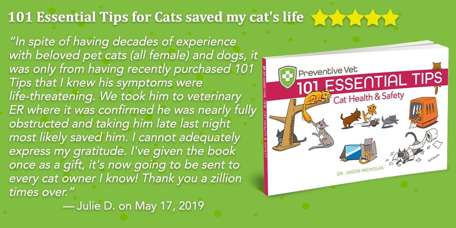 101-cat-tips-review-stars