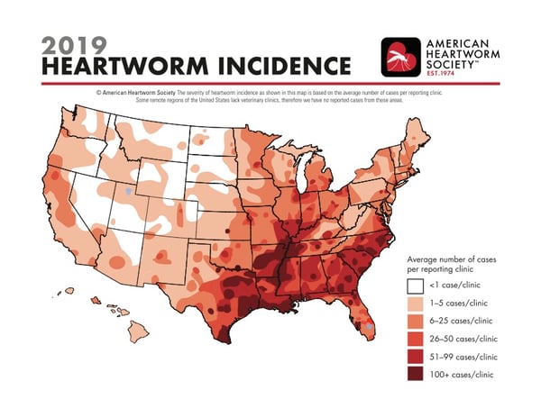 2019 American Heartworm Society Incidence Map