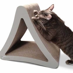3-dimensional-cat-scratcher