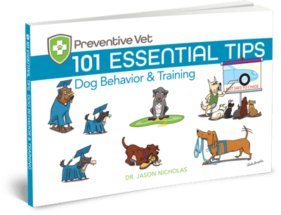 dog training and behavior tips