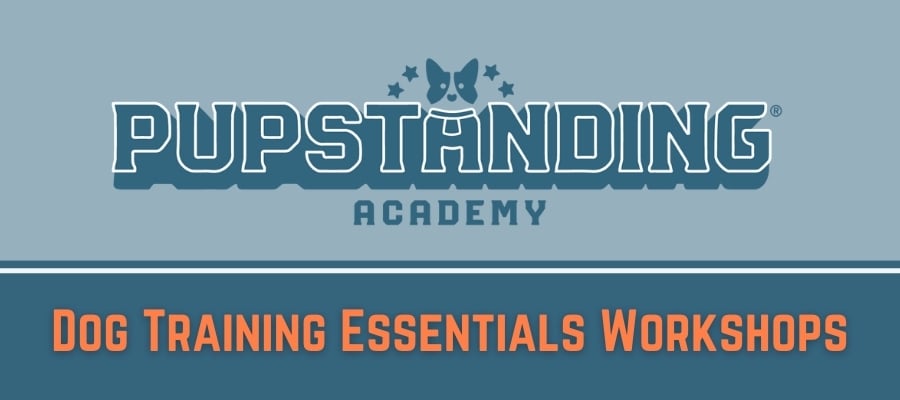 Dog Training Essentials Pupstanding AcademyWorkshops