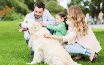 Adults With Child Dog Introduction