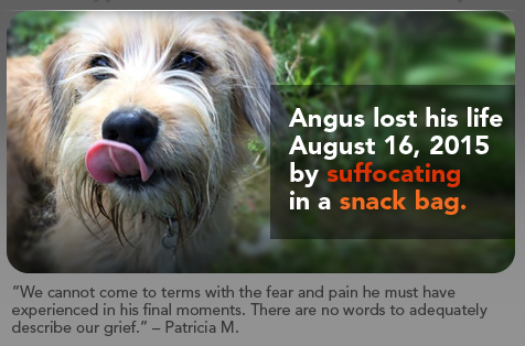 Angus-Pet-Suffocation.png
