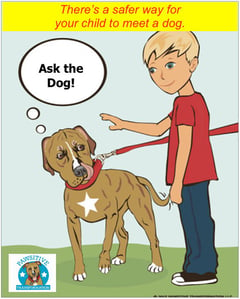 Ask the Dog pawsitive transformation