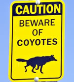 Beware of coyotes sign