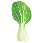 Bok Choy 2