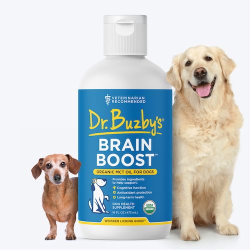 Brain Boost for dog dementia-1