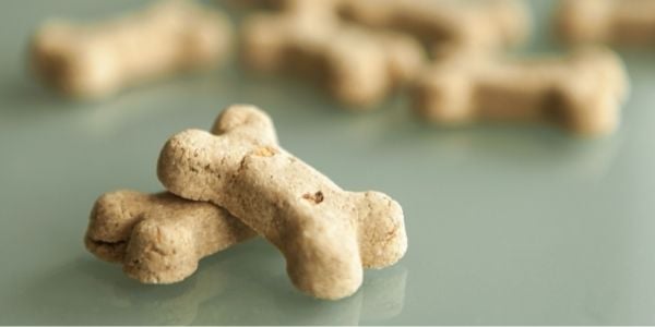 CBD dog treats