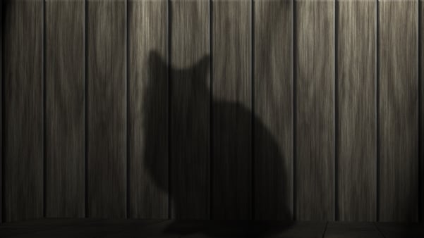 Cat Shadow Fence