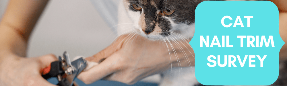 Cat nail trim survey