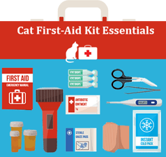 Cat-First-Aid-Essentials-graphic.png