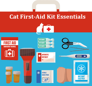 Cat-First-Aid-Essentials-graphic.png Cat-First-Aid-Essentials-graphic.png