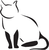 Cat Illustration