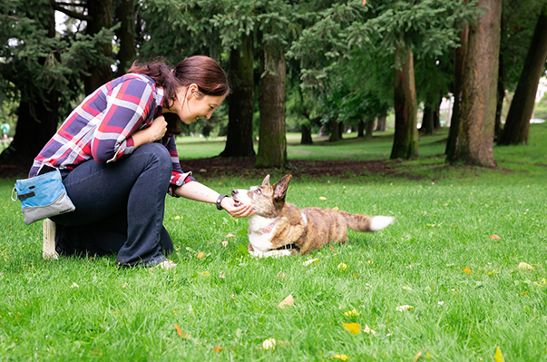 Cathy training Sookie at green lake