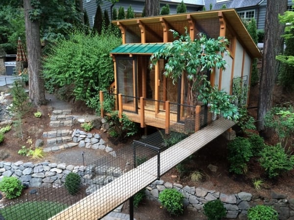 awesome catio design