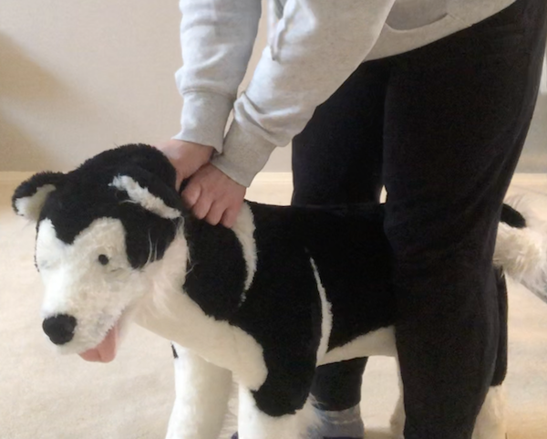 Control Position Example with Stuffed Dog