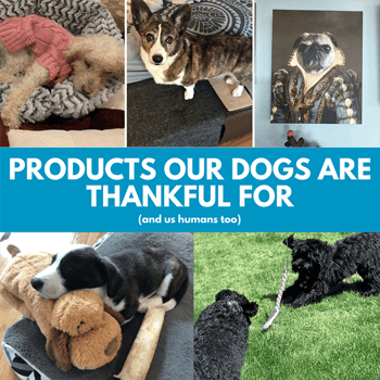 Products our dogs are thankful for