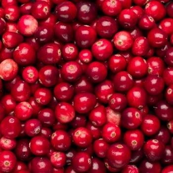 are cranberries toxic to cats