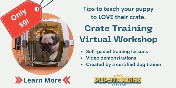 Virtual crate training workshop - puppy essentials
